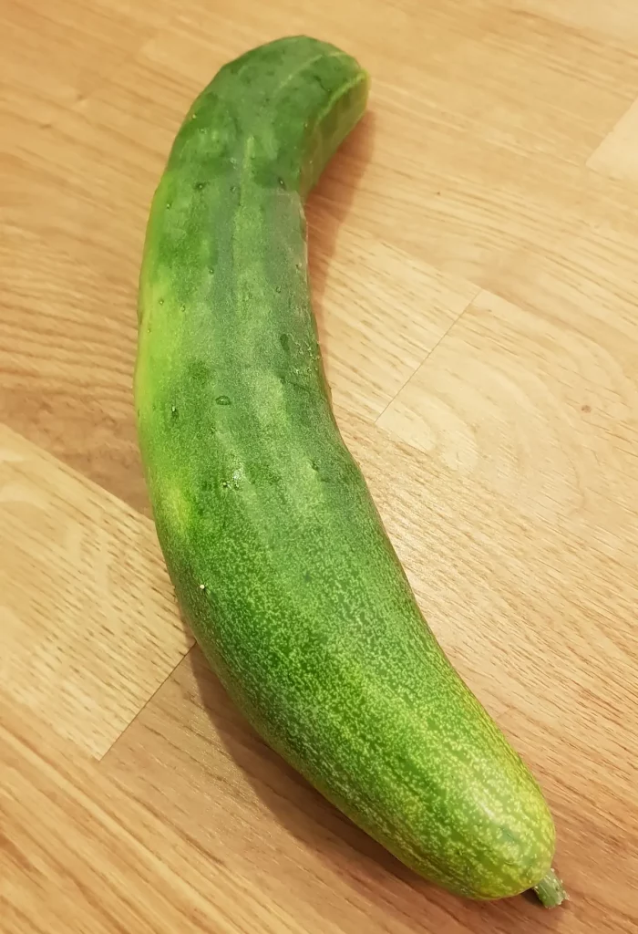 concombre japonais 'Natsu Fushinari'